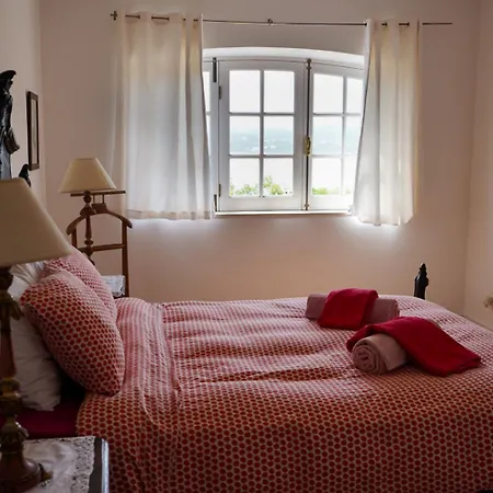 Sunshine Проживание в семье *