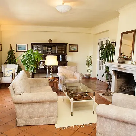 Sunshine Проживание в семье