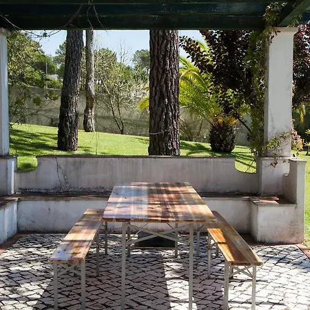 Проживание в семье Sunshine *