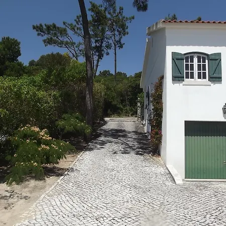 Проживание в семье Sunshine *