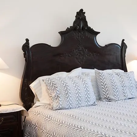 Sunshine Проживание в семье